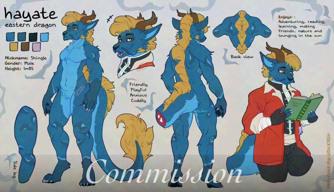 Refsheet for Hayate Refsheet for Hayate